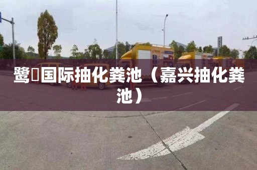 鹭峯国际抽化粪池（嘉兴抽化粪池）