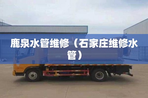 鹿泉水管维修（石家庄维修水管）