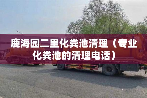 鹿海园二里化粪池清理（专业化粪池的清理电话）