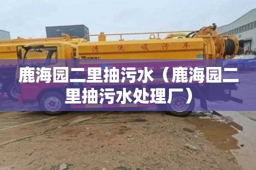 鹿海园二里抽污水（鹿海园二里抽污水处理厂）