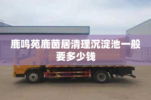 鹿鸣苑鹿茵居清理沉淀池一般要多少钱