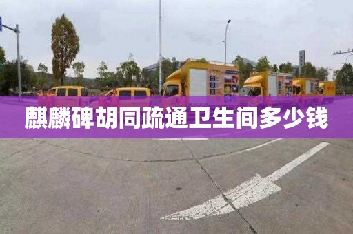 麒麟碑胡同疏通卫生间多少钱