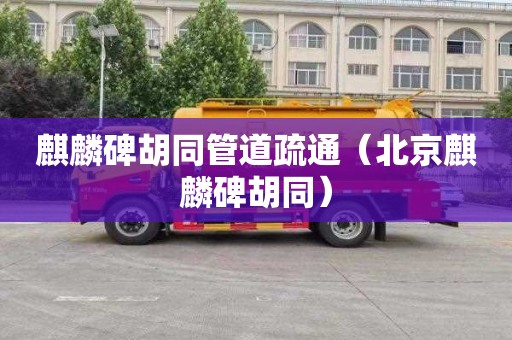 麒麟碑胡同管道疏通（北京麒麟碑胡同）