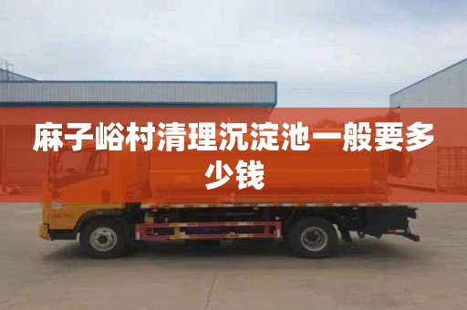 麻子峪村清理沉淀池一般要多少钱