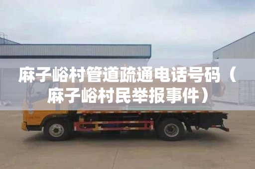 麻子峪村管道疏通电话号码（麻子峪村民举报事件）