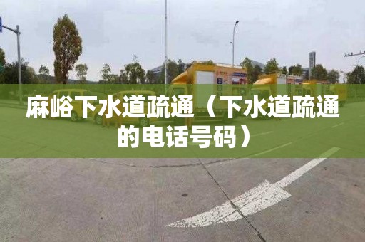 麻峪下水道疏通（下水道疏通的电话号码）