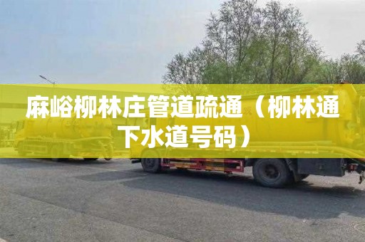 麻峪柳林庄管道疏通（柳林通下水道号码）