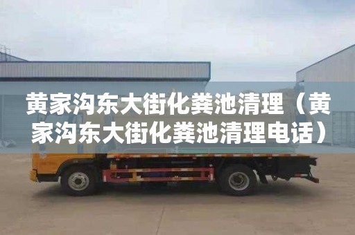 黄家沟东大街化粪池清理（黄家沟东大街化粪池清理电话）