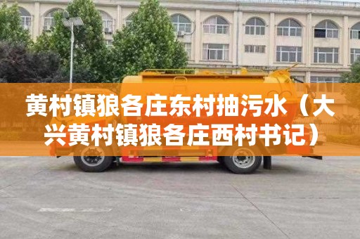 黄村镇狼各庄东村抽污水（大兴黄村镇狼各庄西村书记）