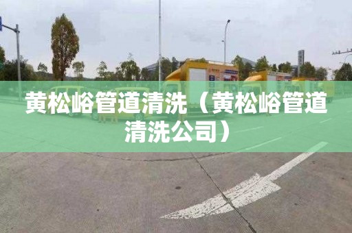 黄松峪管道清洗（黄松峪管道清洗公司）