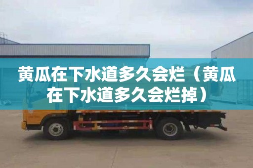 黄瓜在下水道多久会烂（黄瓜在下水道多久会烂掉）