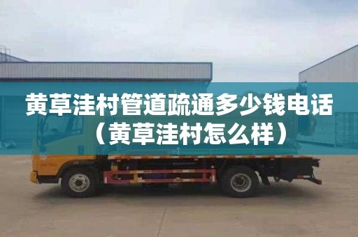 黄草洼村管道疏通多少钱电话（黄草洼村怎么样）