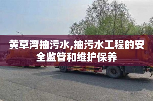 黄草湾抽污水,抽污水工程的安全监管和维护保养
