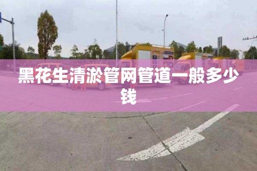黑花生清淤管网管道一般多少钱