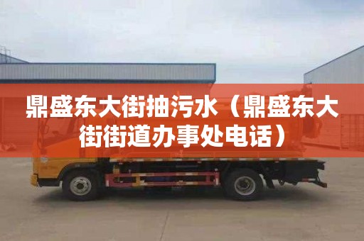 鼎盛东大街抽污水（鼎盛东大街街道办事处电话）