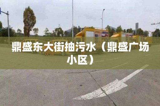 鼎盛东大街抽污水（鼎盛广场小区）