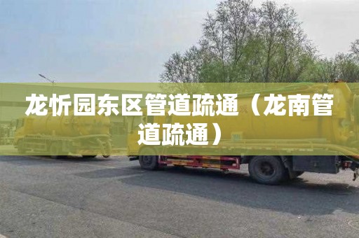 龙忻园东区管道疏通（龙南管道疏通）