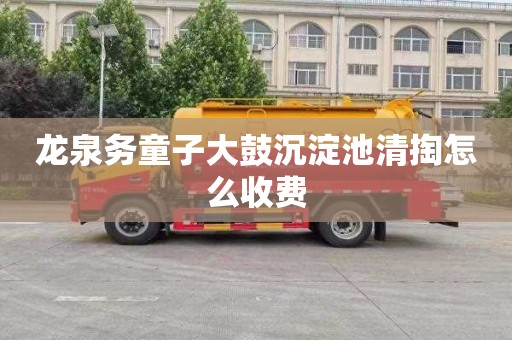 龙泉务童子大鼓沉淀池清掏怎么收费
