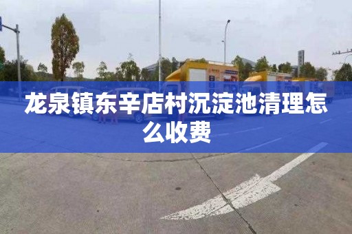 龙泉镇东辛店村沉淀池清理怎么收费