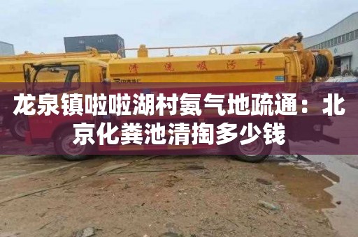 龙泉镇啦啦湖村氨气地疏通：北京化粪池清掏多少钱
