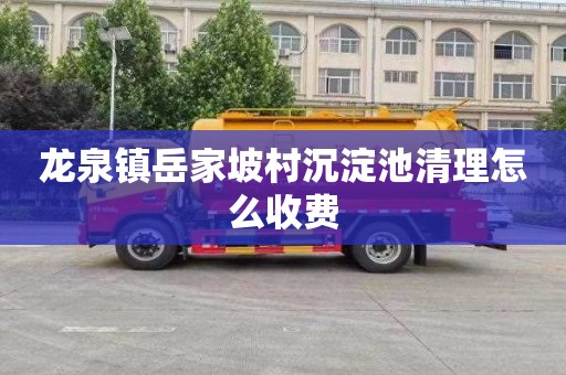 龙泉镇岳家坡村沉淀池清理怎么收费