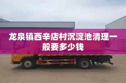 龙泉镇西辛店村沉淀池清理一般要多少钱