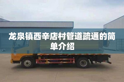 龙泉镇西辛店村管道疏通的简单介绍