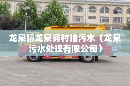 龙泉镇龙泉务村抽污水（龙泉污水处理有限公司）