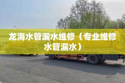 龙海水管漏水维修（专业维修水管漏水）