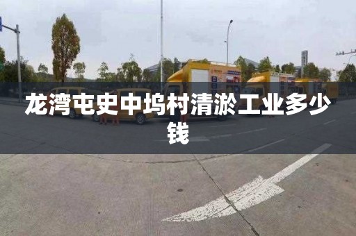 龙湾屯史中坞村清淤工业多少钱