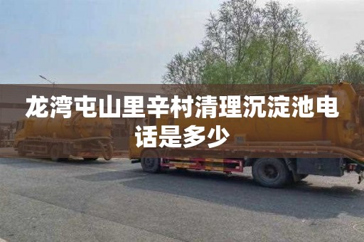 龙湾屯山里辛村清理沉淀池电话是多少