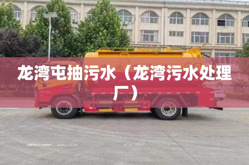 龙湾屯抽污水（龙湾污水处理厂）