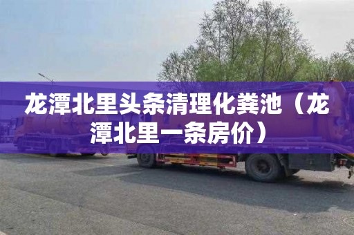 龙潭北里头条清理化粪池（龙潭北里一条房价）