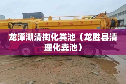 龙潭湖清掏化粪池（龙胜县清理化粪池）