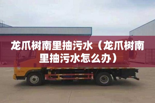 龙爪树南里抽污水（龙爪树南里抽污水怎么办）