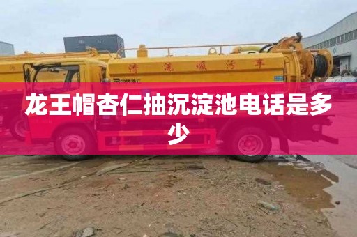 龙王帽杏仁抽沉淀池电话是多少