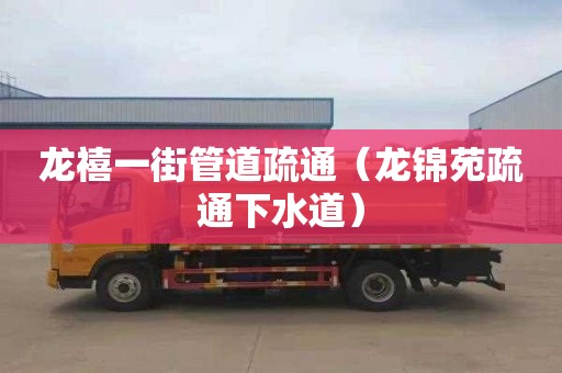 龙禧一街管道疏通（龙锦苑疏通下水道）