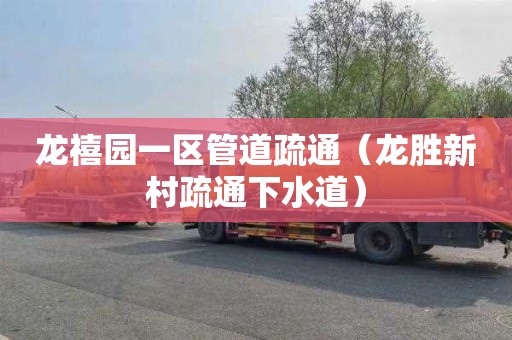 龙禧园一区管道疏通（龙胜新村疏通下水道）