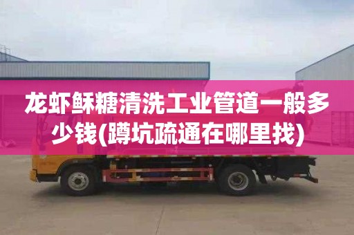 龙虾稣糖清洗工业管道一般多少钱(蹲坑疏通在哪里找)