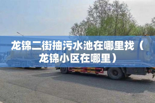 龙锦二街抽污水池在哪里找（龙锦小区在哪里）