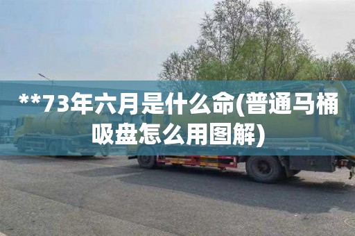 **73年六月是什么命(普通马桶吸盘怎么用图解)