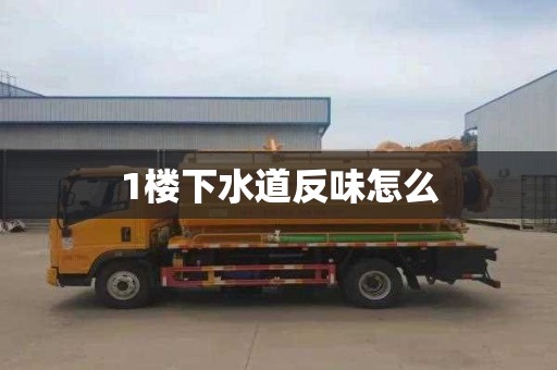 1楼下水道反味怎么