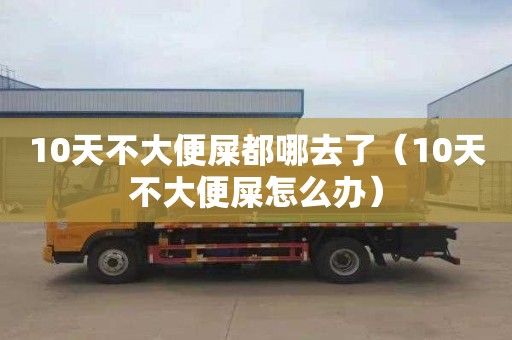 10天不大便屎都哪去了（10天不大便屎怎么办）