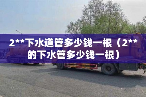 2**下水道管多少钱一根（2**的下水管多少钱一根）