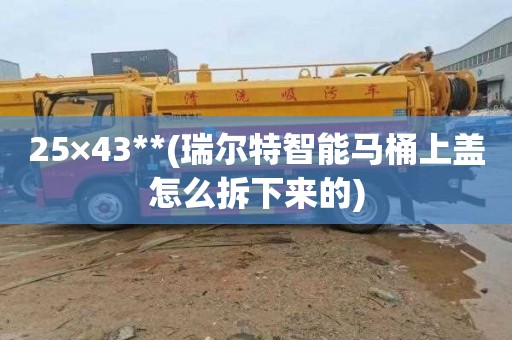 25×43**(瑞尔特智能马桶上盖怎么拆下来的)