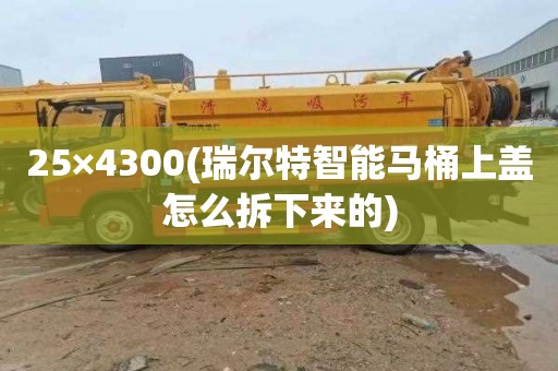 25×4300(瑞尔特智能马桶上盖怎么拆下来的)