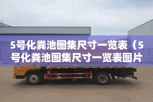 5号化粪池图集尺寸一览表（5号化粪池图集尺寸一览表图片）