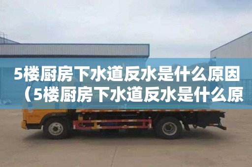5楼厨房下水道反水是什么原因（5楼厨房下水道反水是什么原因造成的）