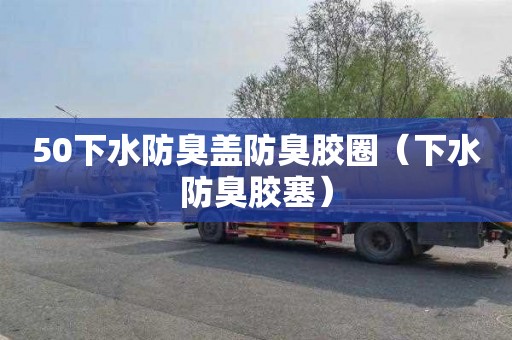 50下水防臭盖防臭胶圈（下水防臭胶塞）