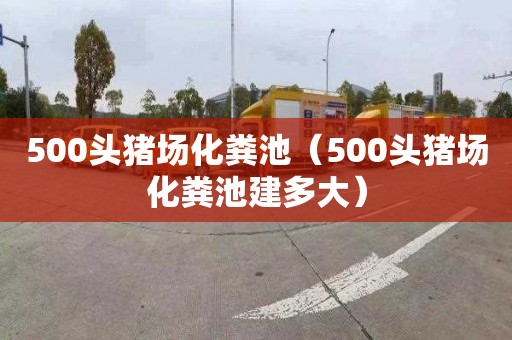 500头猪场化粪池（500头猪场化粪池建多大）